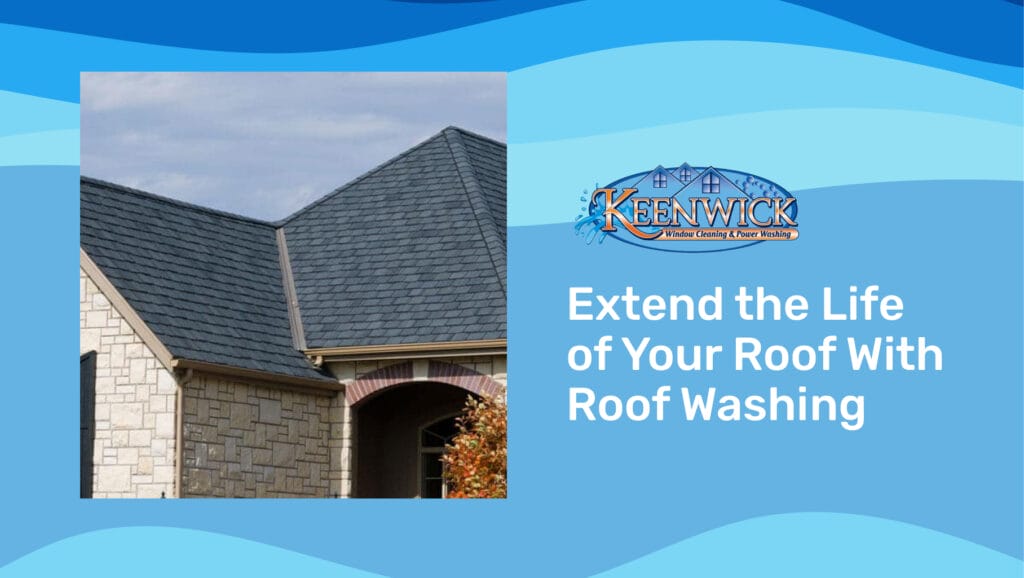 Roof cleaning near me