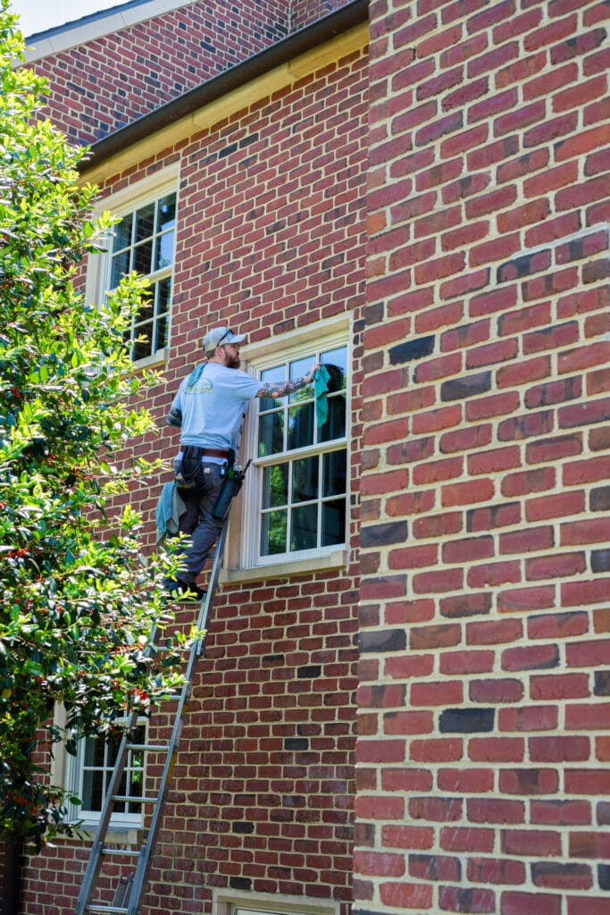 Commercial window cleaning in progress.