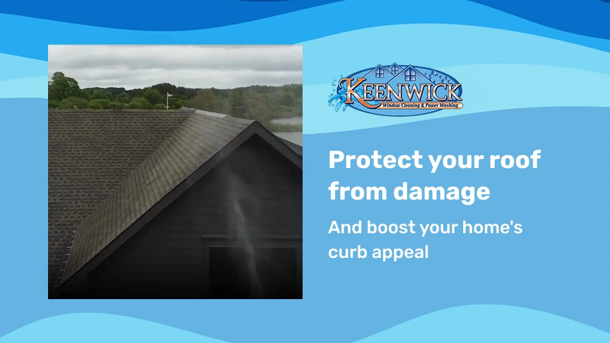 Keep your roof cleaner, healthier, and longer-lasting with trusted roof washing services.